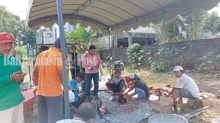 Masjid Hj Nuriyah Banjarbaru laksanakan Pemotongan Hewan Kurban Sebanyak 12 Ekor Sapi 